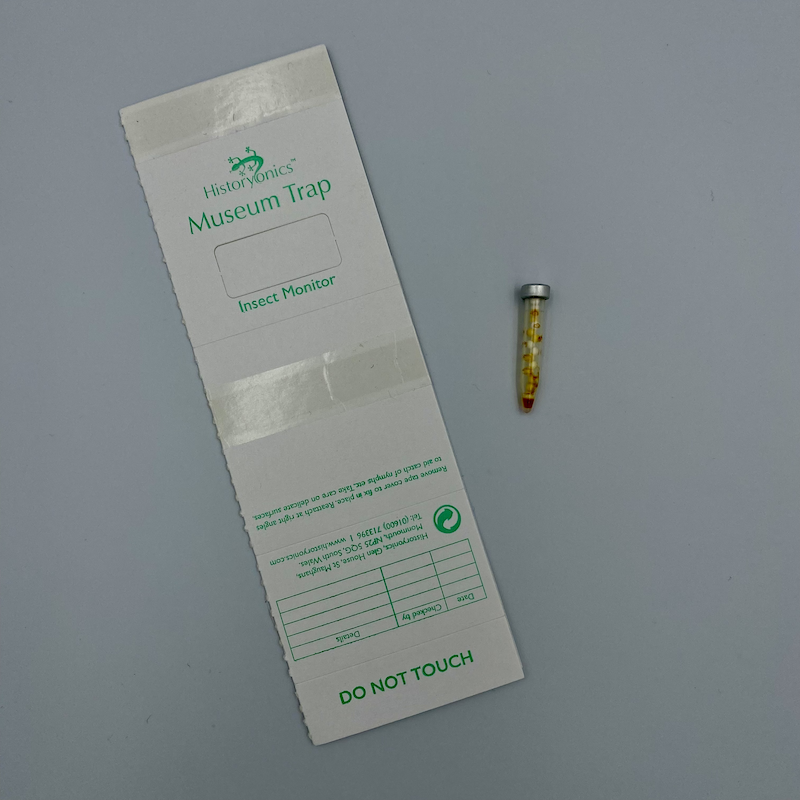 AA Carpet Beetle Kit (Attagenus & Anthrenus) - (Trap & Bullet Lure)