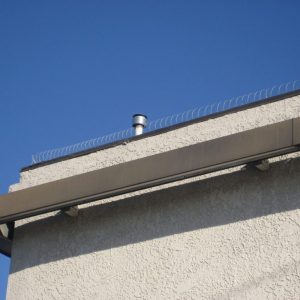 Birdcoil®