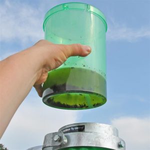 Fly Catch Chamber for H-Trap Horsefly Trap