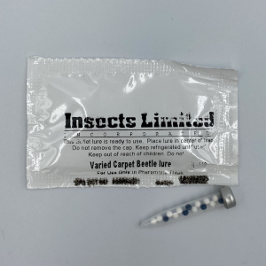 Varied Carpet Beetle and Guernsey Carpet Beetle Bullet Lure