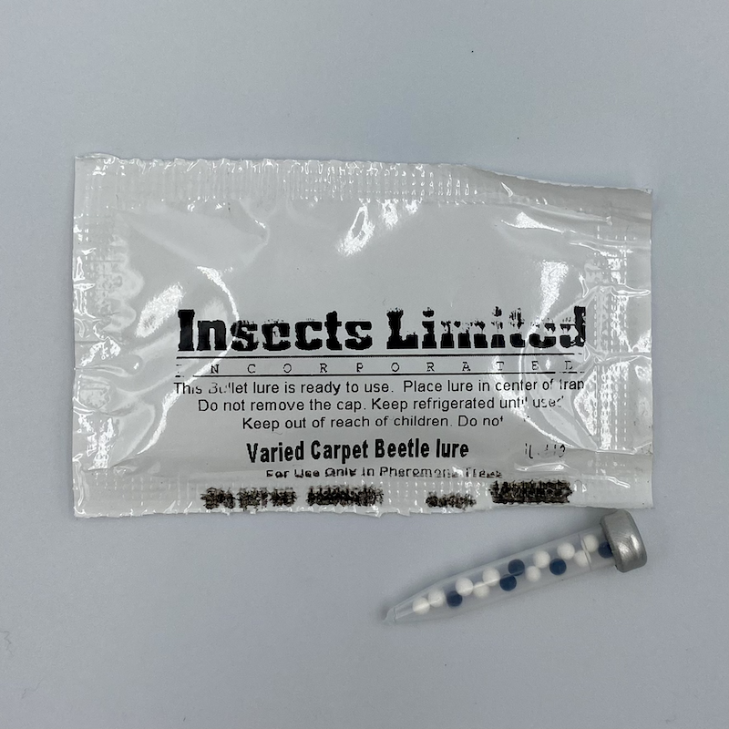 Varied Carpet Beetle and Guernsey Carpet Beetle Bullet Lure