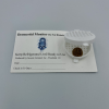 Dermestid Larval Monitor