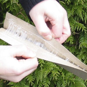 Sticky Wet Glue Insert - Opening 1