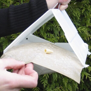 Sticky Wet Glue Insert - Opening 4