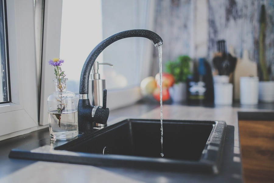 kitchen household pest management