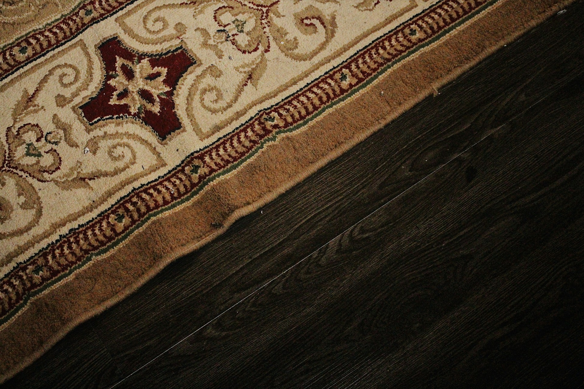 clothes moth damage to rug