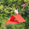 Codling Moth Pheromone Trapping Kit