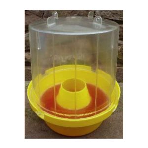 Methyl Eugenol insect attractant for Bactrocera (Dacus) dorsalis, B. Zonata and others